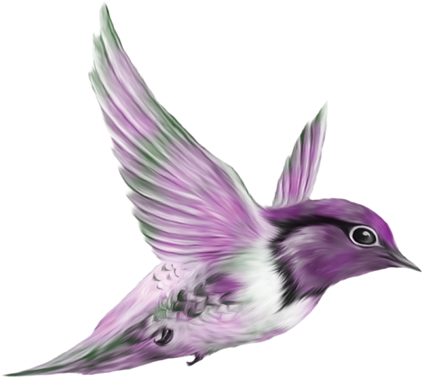Акварельные птицы на прозрачном фоне
