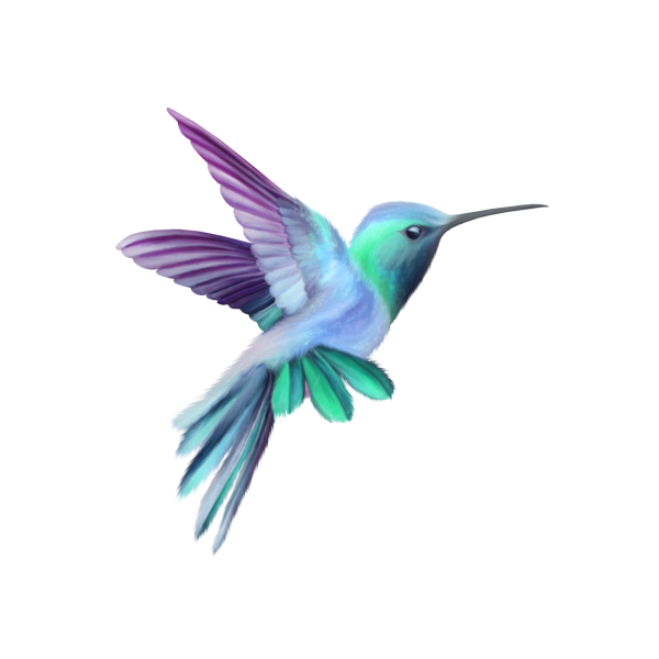 Фиолетовые птички на прозрачном фоне