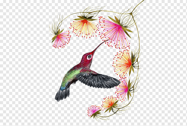 Акварельные птицы на прозрачном фоне