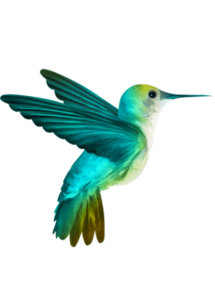 Маленькие птички на прозрачном фоне