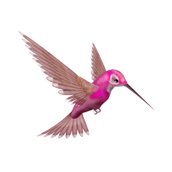 Силуэт птицы