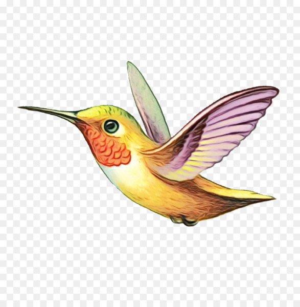 Птица в полете