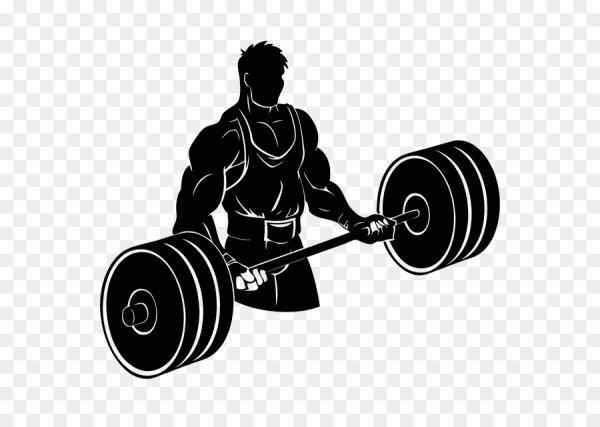 Штанга и штангисты