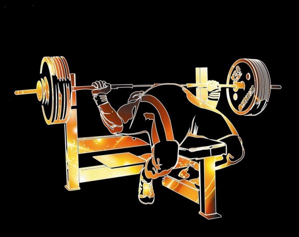 Спорт жим лежа