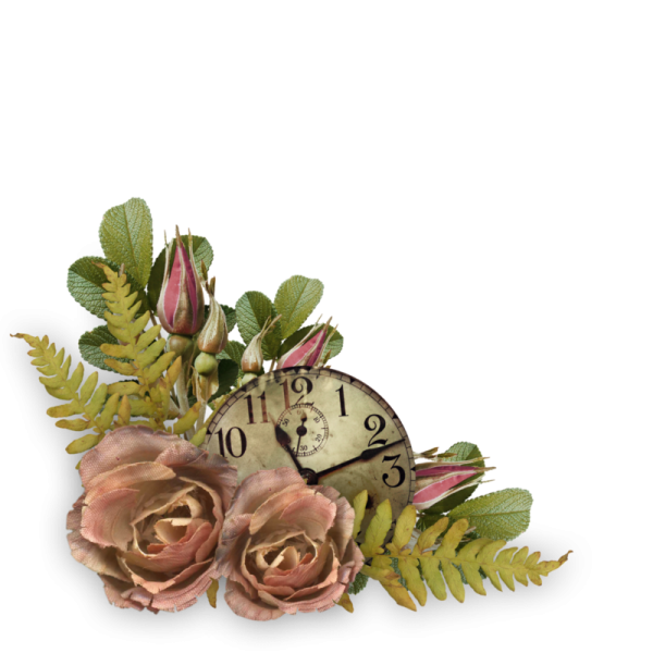 Цветы Винтаж на прозрачном фоне