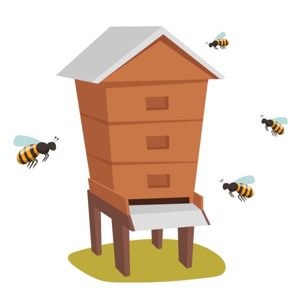 Улей для дошкольников