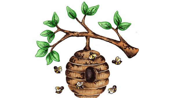 Улей с пчелами вектор