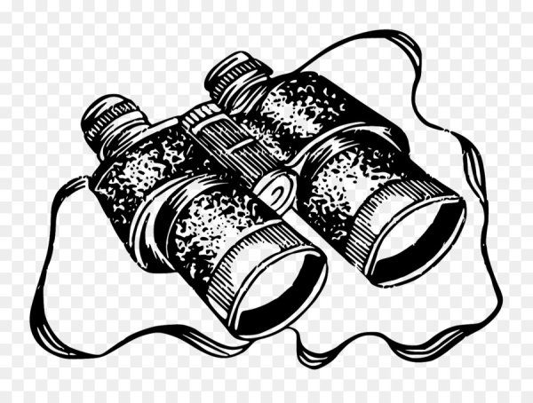 Бинокль Swarovski Habicht 10x40 WMS