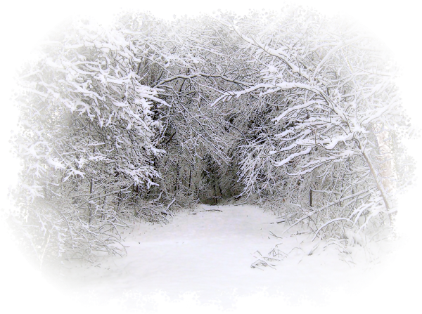 Зима на прозрачном фоне