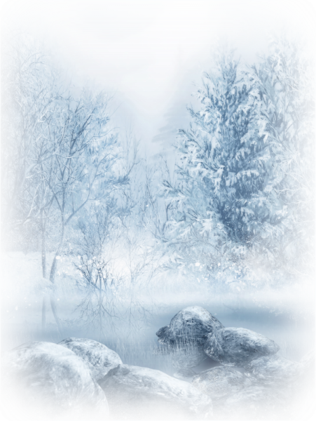 Снежный лес на прозрачном фоне