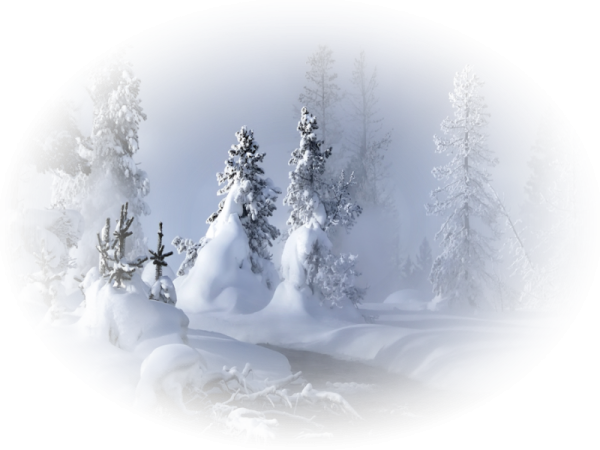 Зима на белом фоне