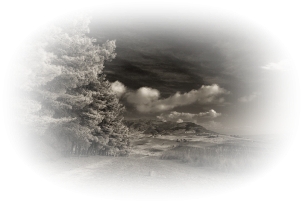 Метель вектор