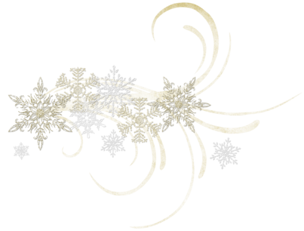 Зимний декор на прозрачном фоне