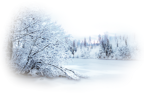Зима на прозрачном фоне
