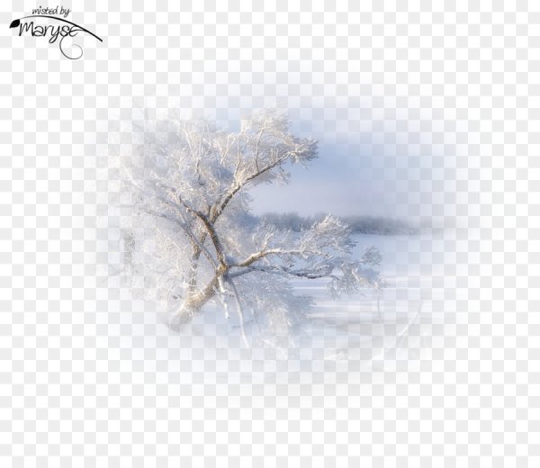 Пушистый снег