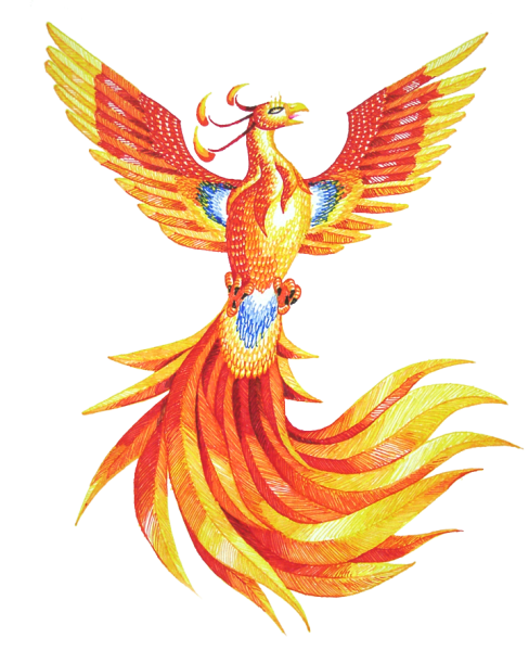 Феникс Фоукс PNG