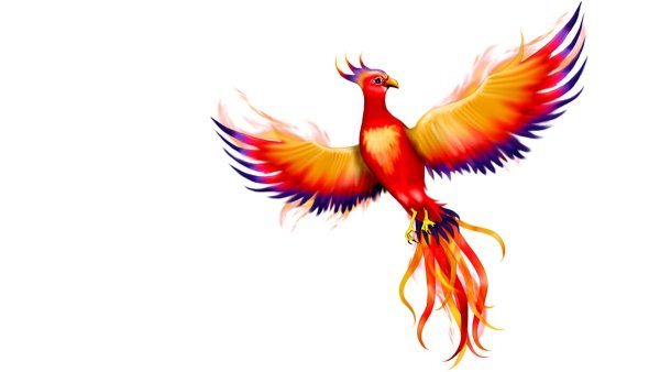 Птица Феникс на белом фоне