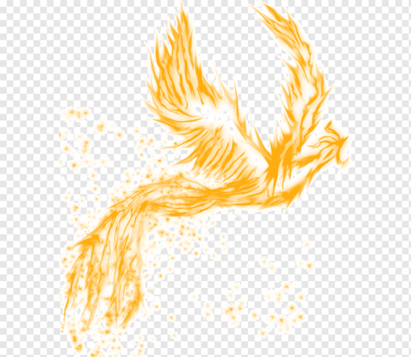 Огненная птица на прозрачном фоне