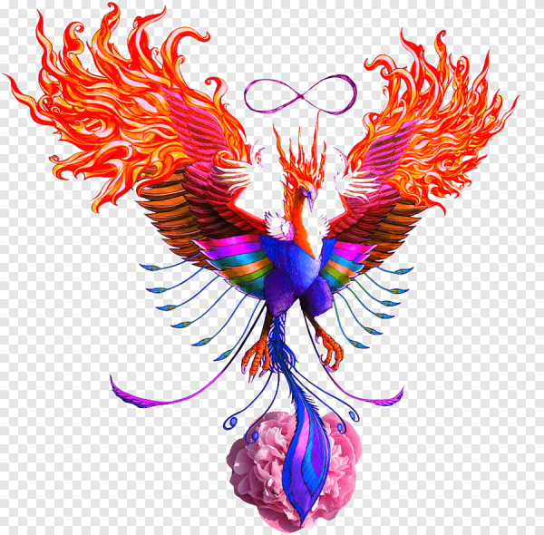 Феникс клипарт на прозрачном фоне
