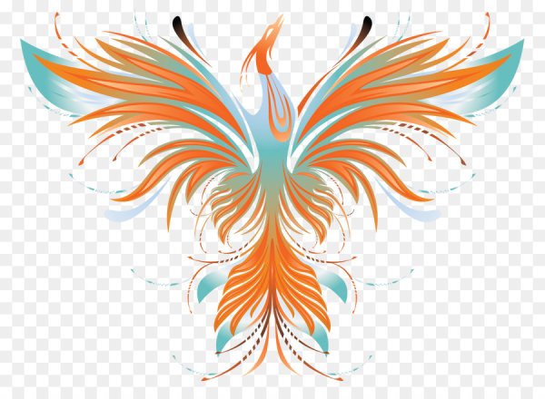 Феникс на прозрачном фоне