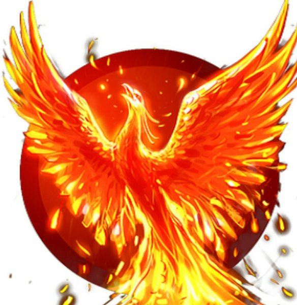Птица Феникс Fohow картина