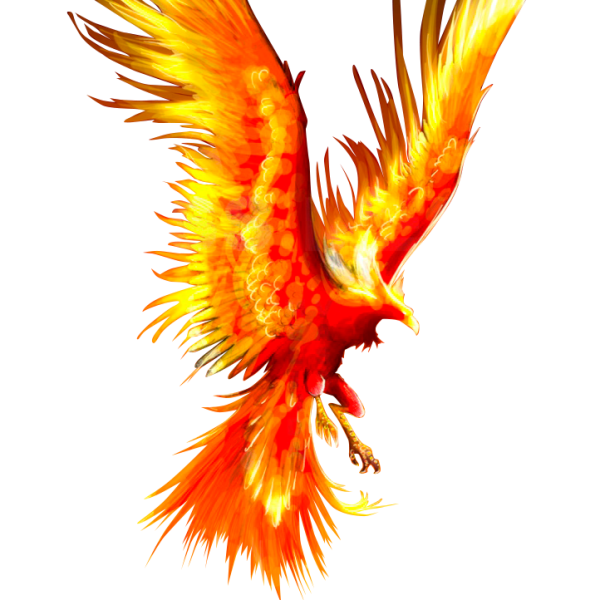 Феникс на белом фоне