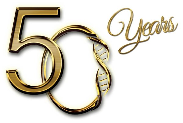 Красивая цифра 50