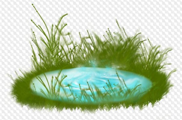 Водоем на белом фоне