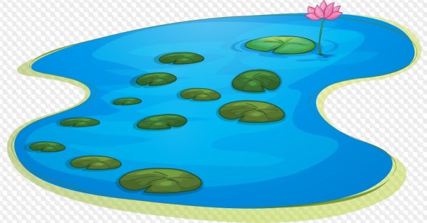 Водоем на прозрачном фоне