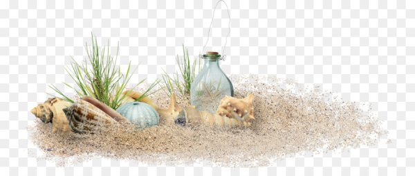 Морской песок на прозрачном фоне