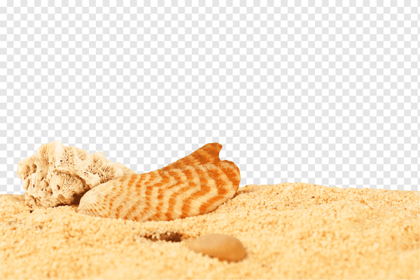 Sand на прозрачном фоне