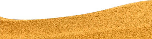 Россыпь ракушек