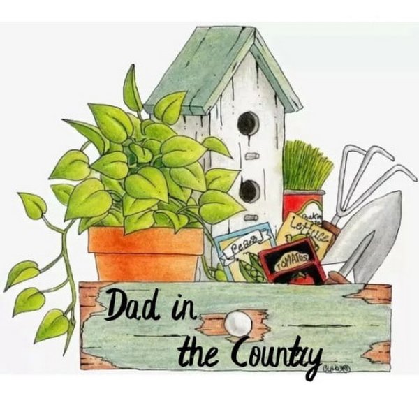 Дача иллюстрация