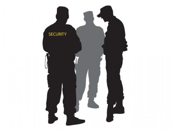 Мультяшный телохранитель