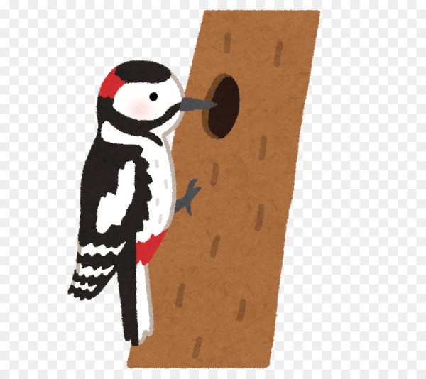 Дятел рисунок для детей