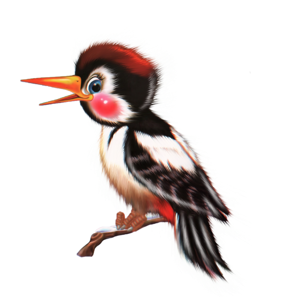 Птицы отрисовки