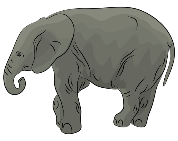 Векторные слоны для детей