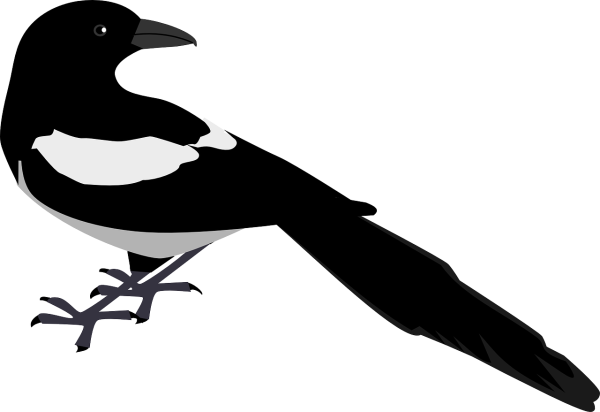 Силуэты зимующих птиц