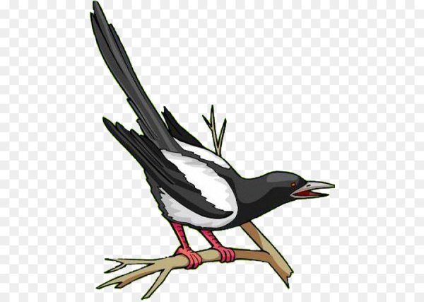 Сорока мультяшная