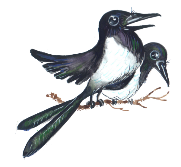 Сорока для детей