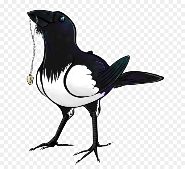 Сорока для детей