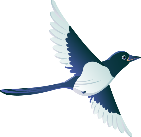 Сорока белобока мультяшная