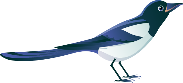 Сорока рисунок