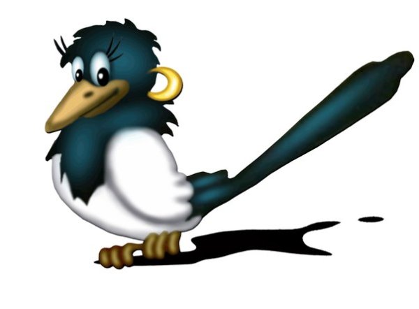 Сорока для детей