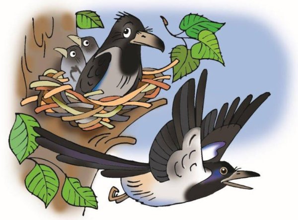 Сорока рисунок для детей