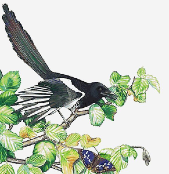 Дети ворона