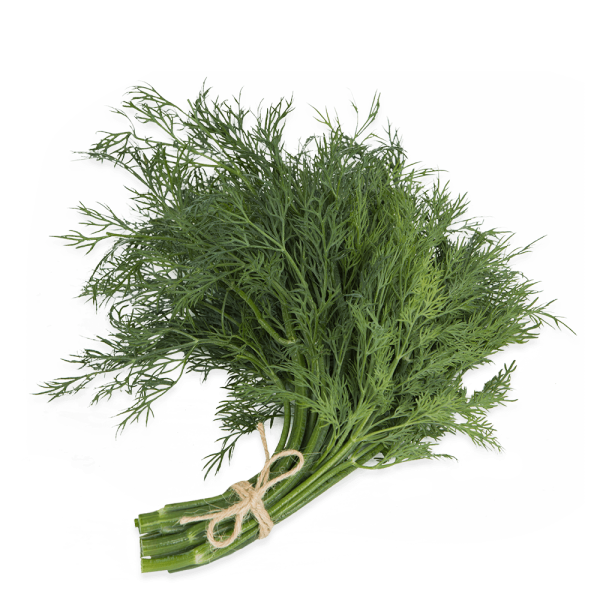 Тархун и фенхель