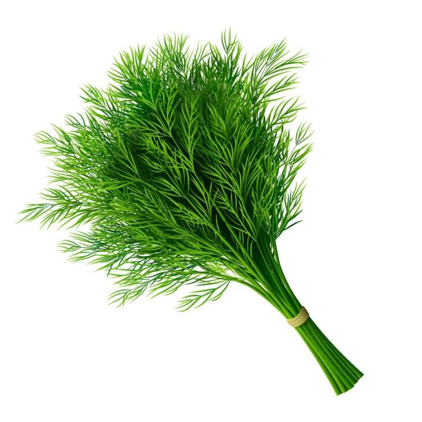 Укроп Стардаст Престиж