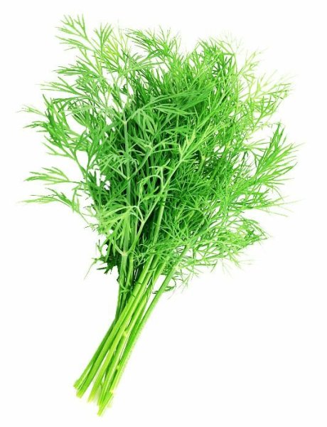 Укроп пучок, 100 г