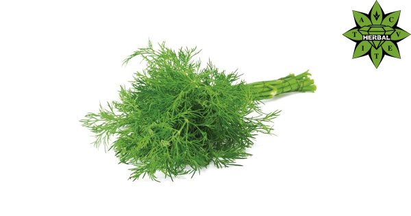 Укроп монтаж